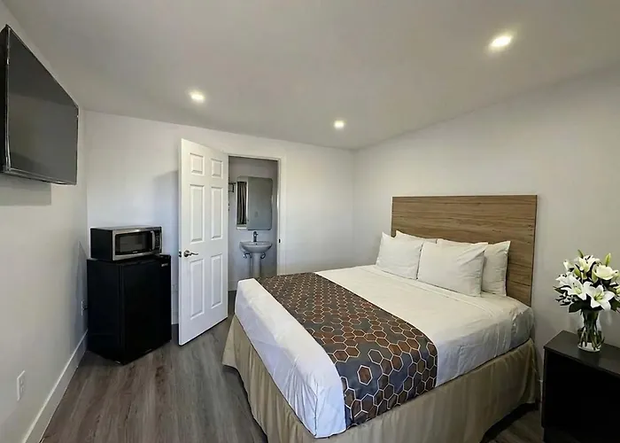 Sun Valley Phoenix